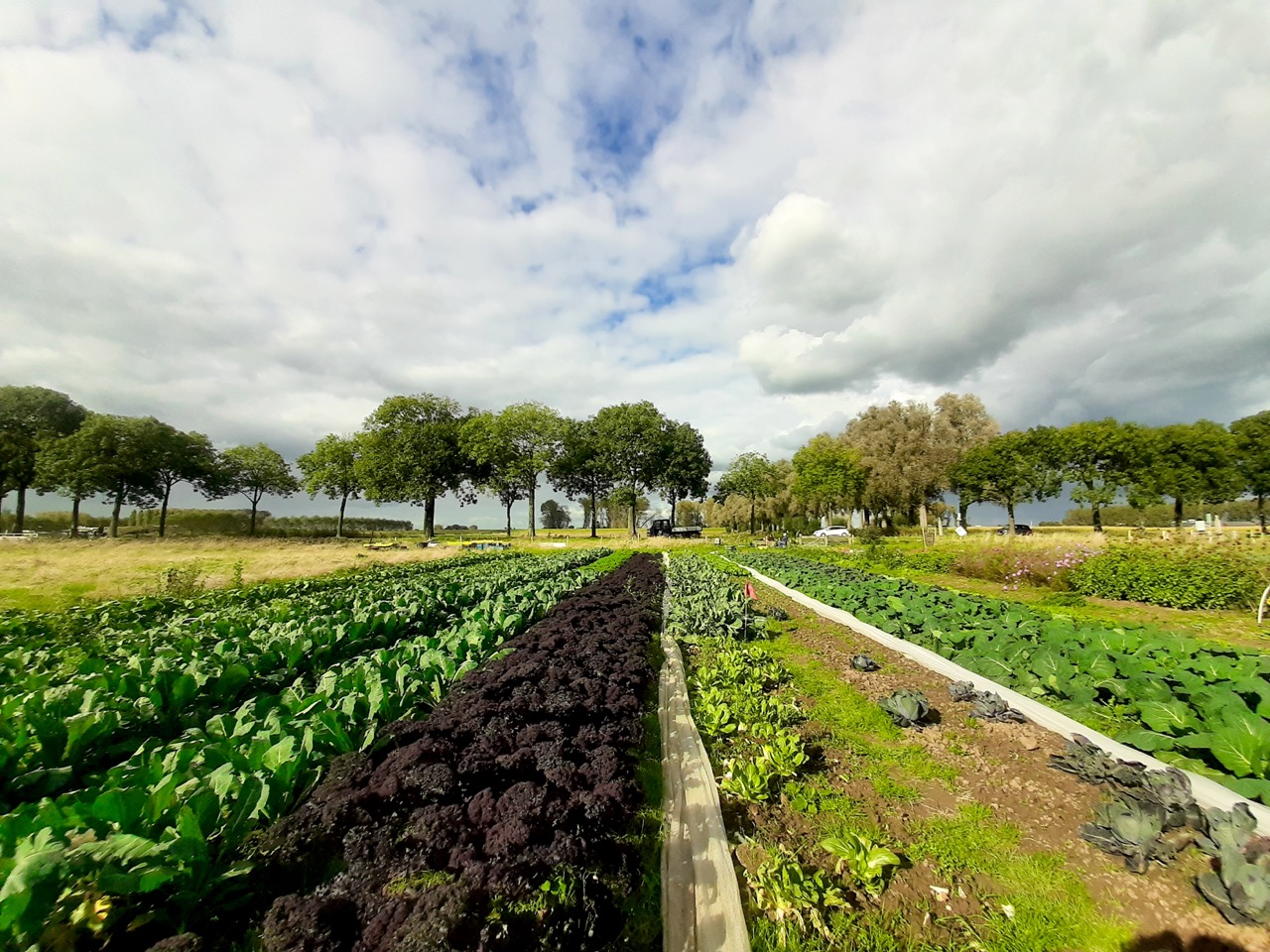 bedden_achterzijde groot 2